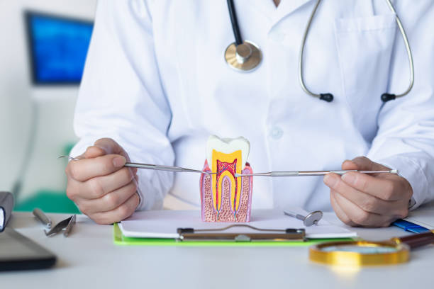 Best Urgent Dental Care for Toothaches in Sherwood Manor, CT